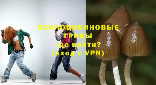 прущий лед Алексин