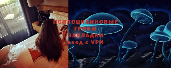 ешки Алексеевка