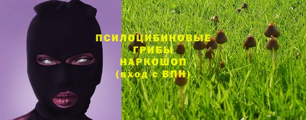прущий лед Алексин